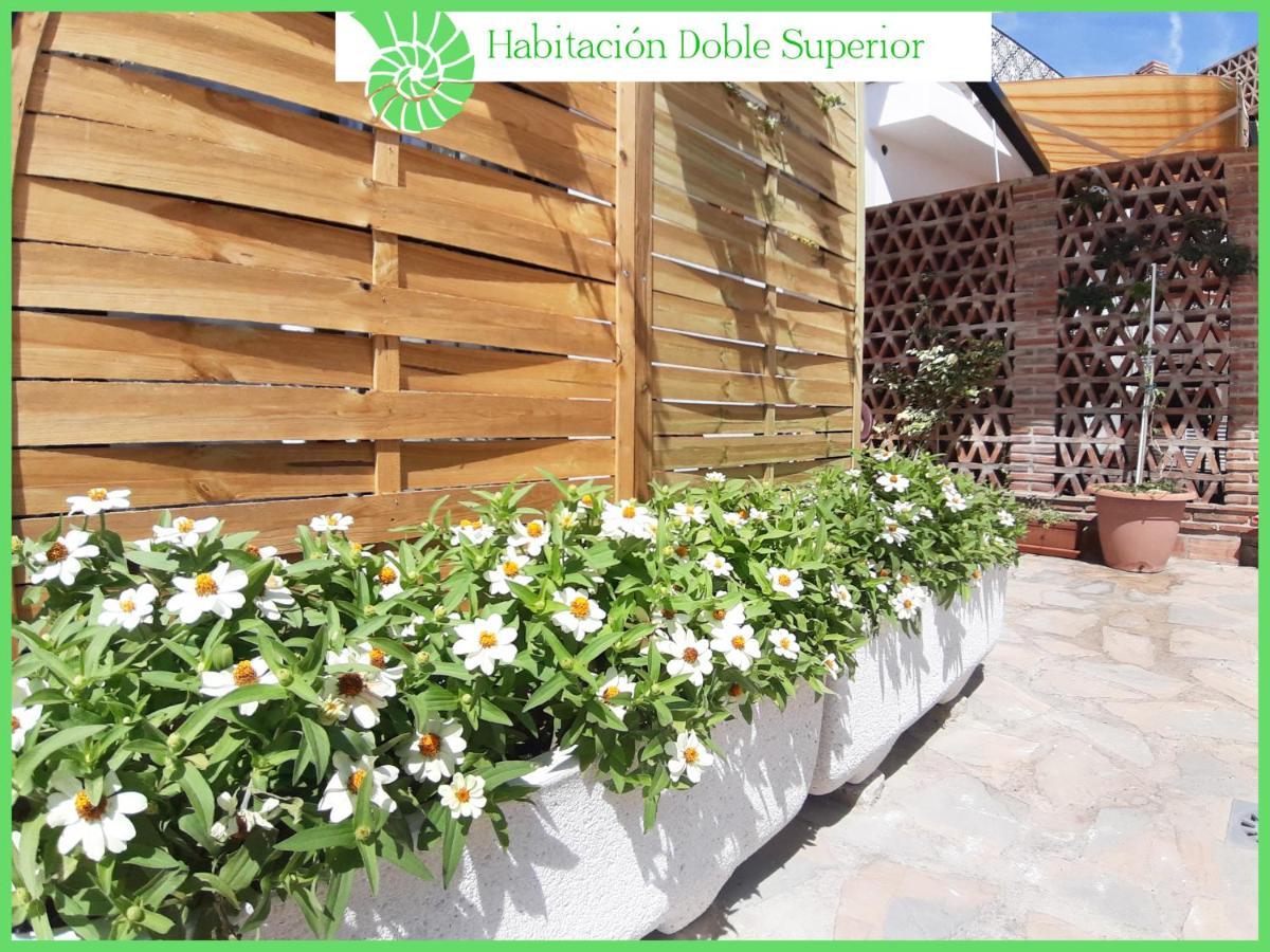 Biznaga Hols (Adults Only) Leilighet Benalmádena Eksteriør bilde